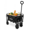 Carro de transporte compacto – Plegable – 60 kg – 50 L | Negro
